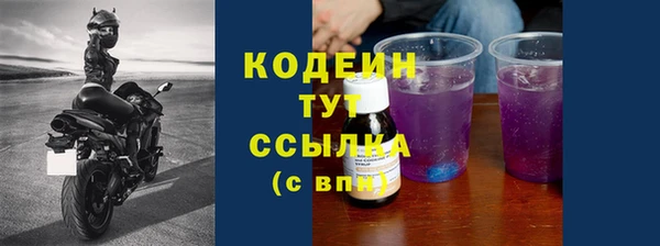 шишки Баксан