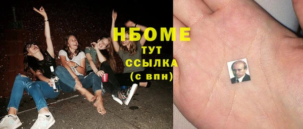 шишки Баксан