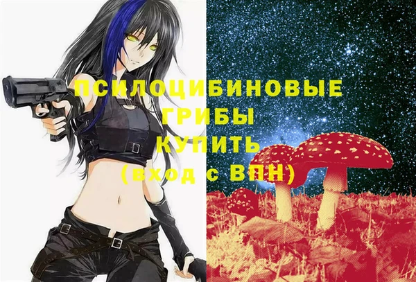 шишки Баксан