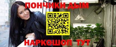 амф Гатчина