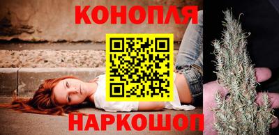 амф Гатчина