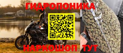амф Гатчина