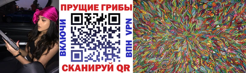 даркнет наркотические препараты  Губкинский  mega сайт  Псилоцибиновые грибы Magic Shrooms  где купить  