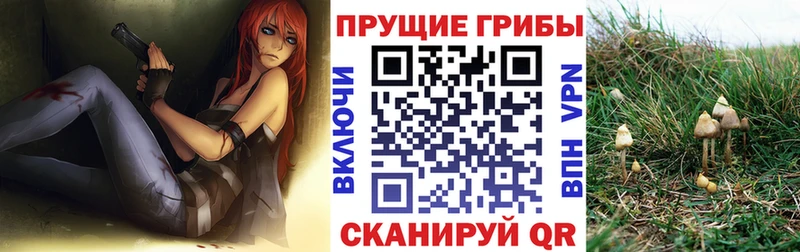 Псилоцибиновые грибы ЛСД Губкинский