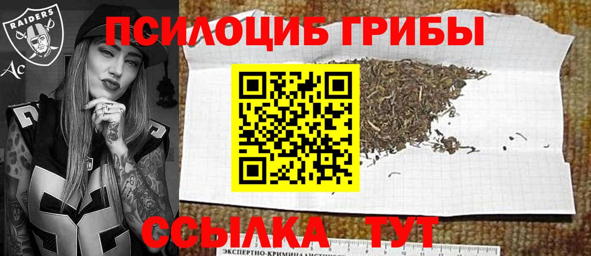 Псилоцибиновые грибы MAGIC MUSHROOMS Губкинский