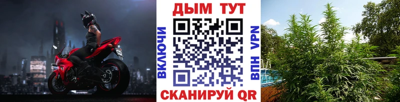 закладка  MEGA маркетплейс  Конопля планчик  Губкинский 